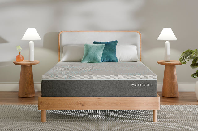 11in Reflex Firm All Foam Mattress Image