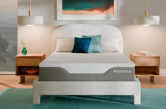 12in Reflex Medium All Foam Mattress Image