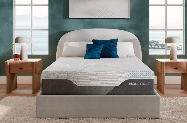 14in Reflex Plush All Foam Mattress Image