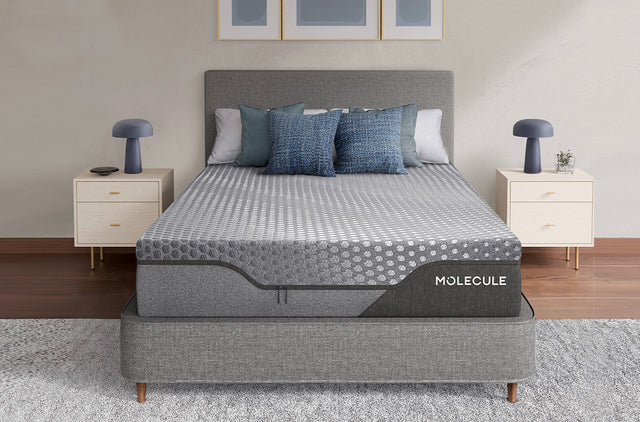 12in Engage Firm All Foam Mattress Image