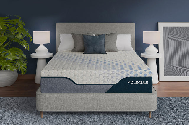 12in Engage PRO Firm Hybrid Mattress Image