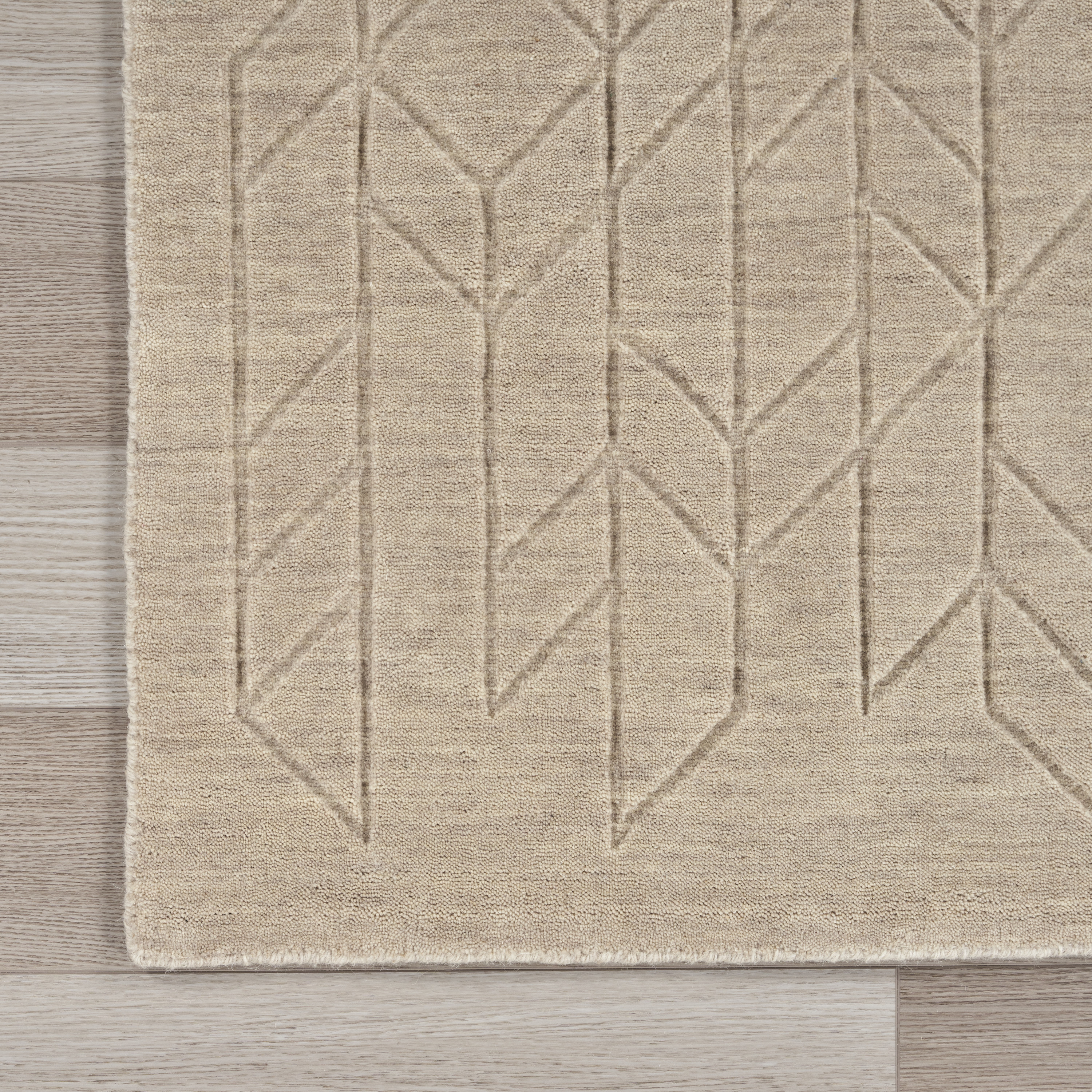 Alessia Beige Area Rugs Image